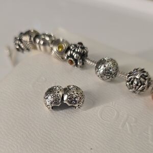 Authentic Pandora Clip.